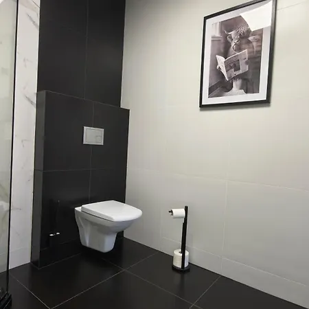 Mieszko Apartment Cieszyn (Silesia)