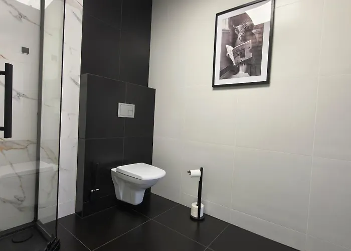 Mieszko Апартаменты Цешин